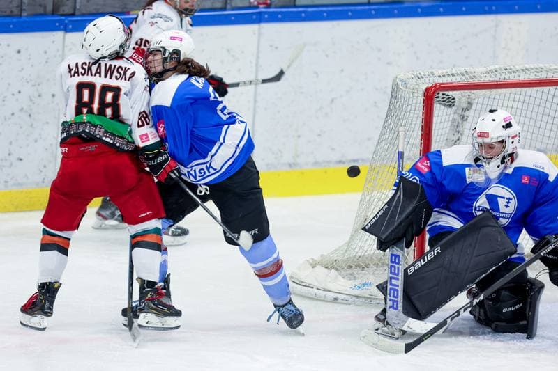 Ice Hockey. Tauron Liga. Kojotki Naprzod Janow - Stoczniowiec Gdansk. 24.02.2024
