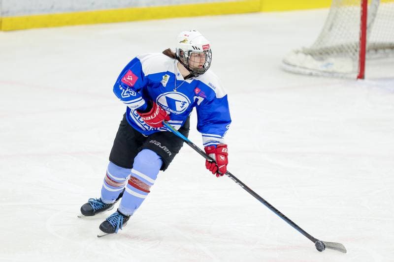 Ice Hockey. Tauron Liga. Kojotki Naprzod Janow - Stoczniowiec Gdansk. 24.02.2024