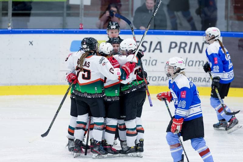 Ice Hockey. Tauron Liga. Kojotki Naprzod Janow - Stoczniowiec Gdansk. 24.02.2024