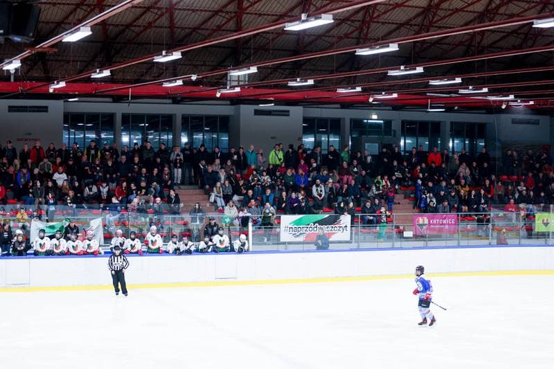 Ice Hockey. Tauron Liga. Kojotki Naprzod Janow - Stoczniowiec Gdansk. 24.02.2024