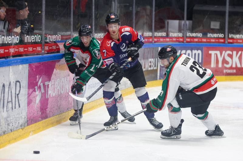 Ice Hockey. Tauron Hokej Liga. GKS Tychy - KH Energa Torun. 25.02.2024