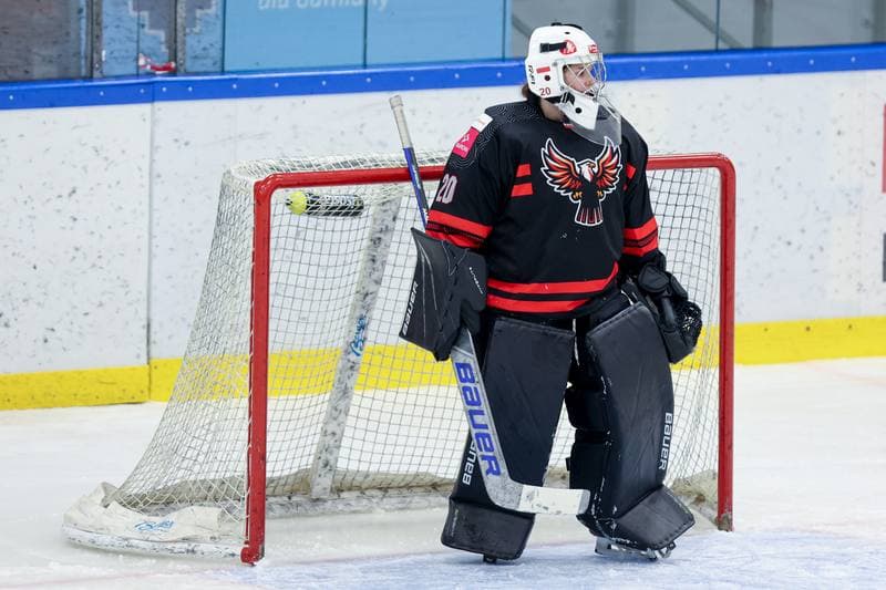 Ice Hockey. EWHL. Tauron Metropolia Silesia - EC Graz Huskies. 02.03.2024