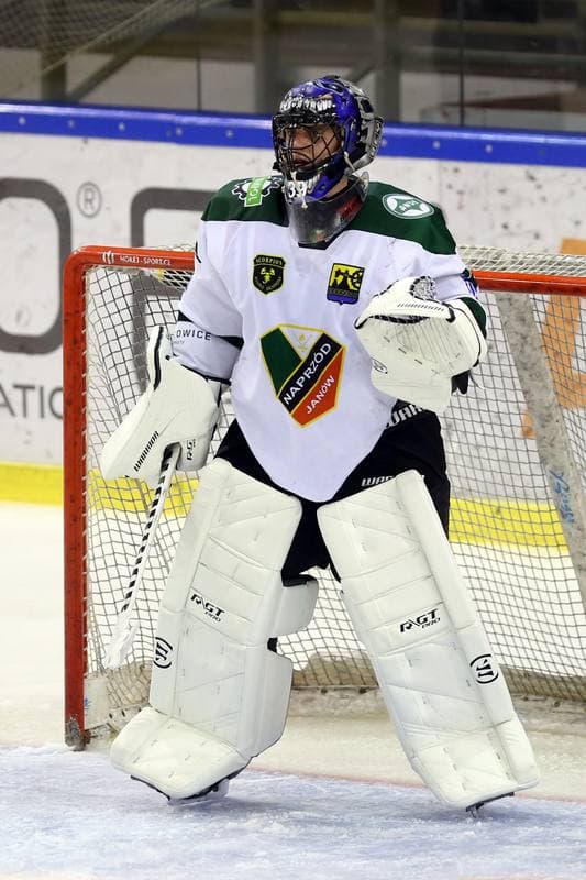 Ice Hockey. Polska Hokej Liga. Naprzod Janow - GKS Tychy. 15.10.2017
