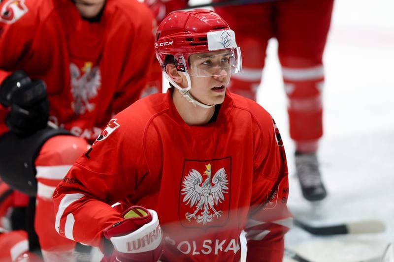 Ice Hockey. Poland national team. Training. 02.04.2024