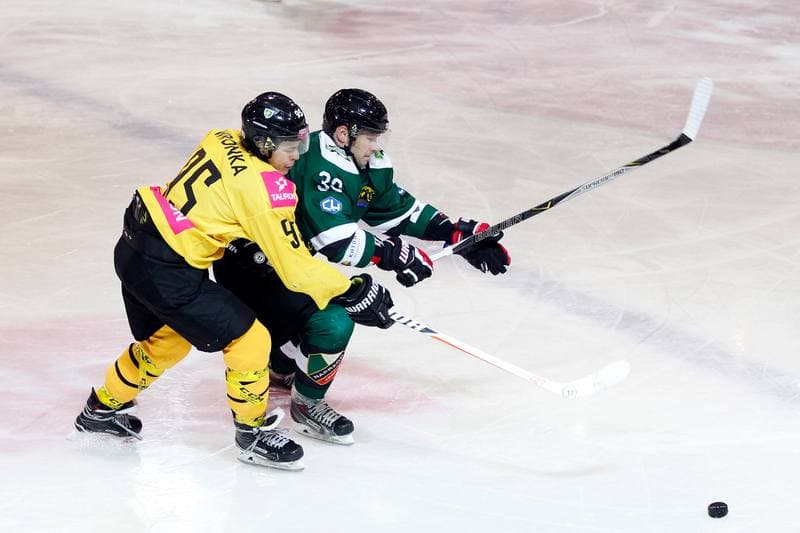Ice Hockey. Tauron Hokej Liga. Tauron KH GKS Katowice - Anteo Naprzod Janow. 03.11.2017