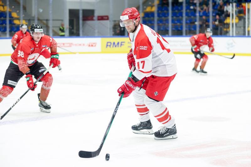 Ice Hockey. Friendly Match. Poland - Hungary. 12.04.2024