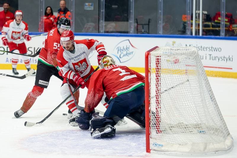 Ice Hockey. Friendly Match. Poland - Hungary. 13.04.2024