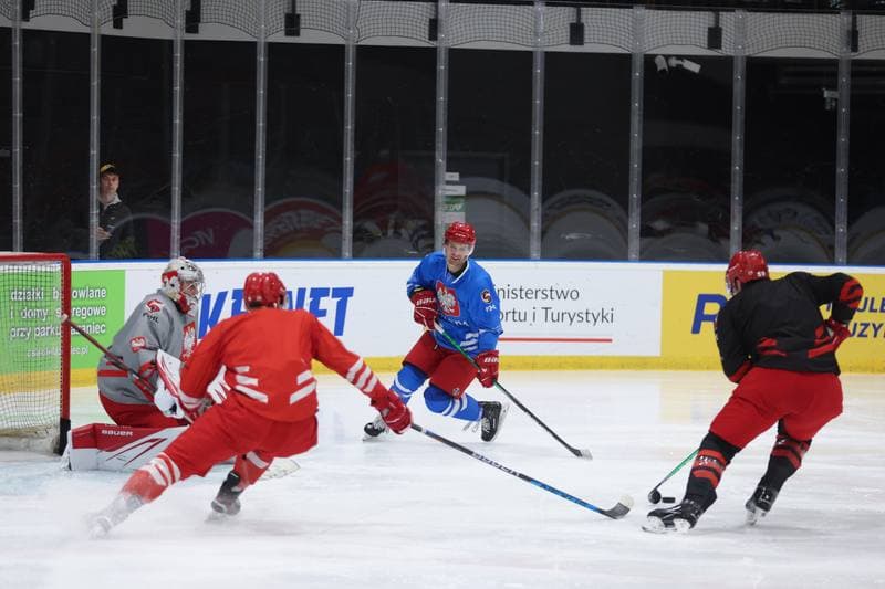Ice Hockey. Poland national team. Training. 17.04.2024