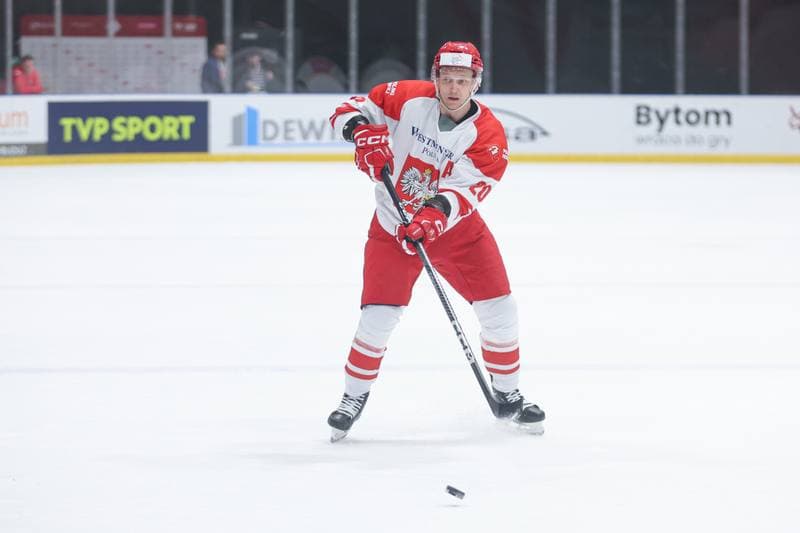 Ice Hockey. Friendly Match. Poland - Slovenia. 18.04.2024