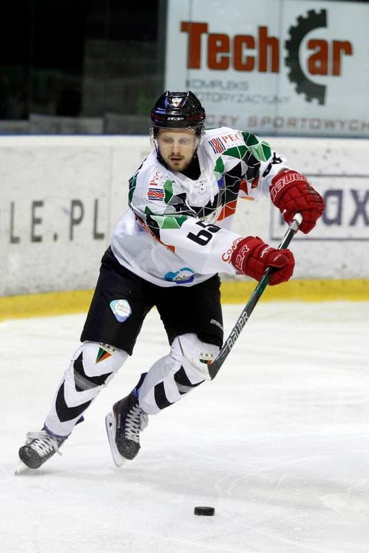 Ice Hockey. Polska Hokej Liga. GKS Tychy - Tauron KH GKS Katowice. 19.11.2017