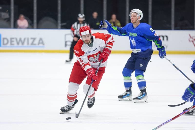 Ice Hockey. Friendly Match. Poland - Slovenia. 19.04.2024