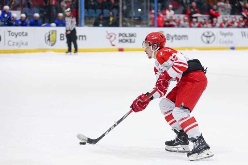 Ice Hockey. Friendly Match. Poland - Slovenia. 19.04.2024