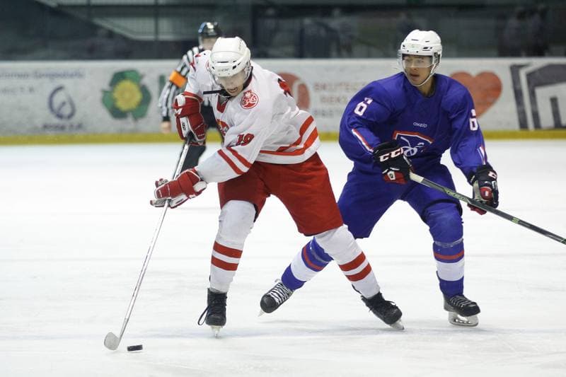 Ice Hockey. Friendly Match. Poland U20 - France U20. 06.08.2016
