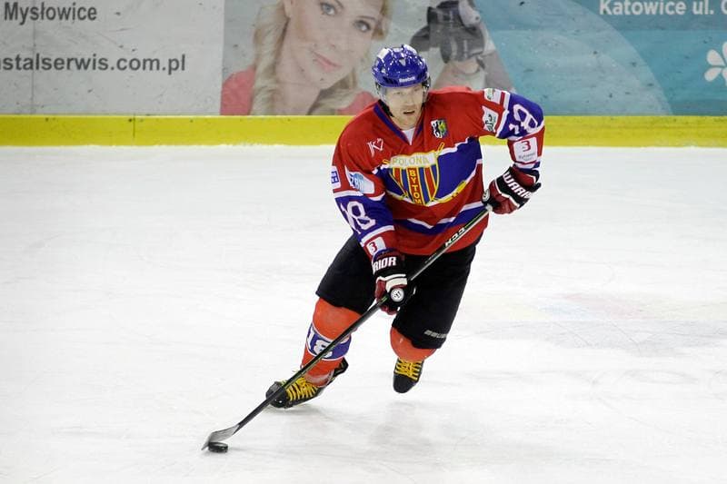 Ice Hockey. Polska Hokej Liga. Anteo Naprzod Janow - Polonia Bytom. 30.01.2018