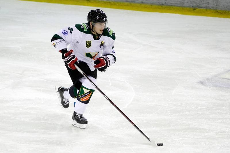 Ice Hockey. Polska Hokej Liga. Anteo Naprzod Janow - Polonia Bytom. 30.01.2018