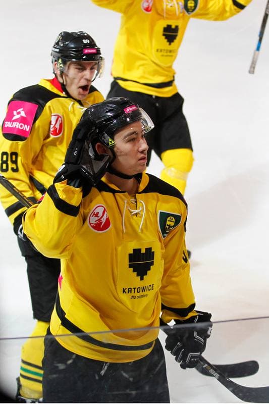 Ice Hockey. Polska Hokej Liga. Tauron KH GKS Katowice - Comarch Cracovia Krakow. 20.11.2016