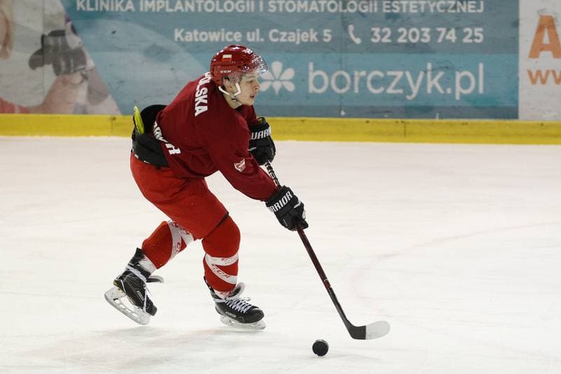 Ice Hockey. Poland national team. Training. 13.02.2018