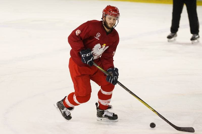 Ice Hockey. Poland national team. Training. 13.02.2018