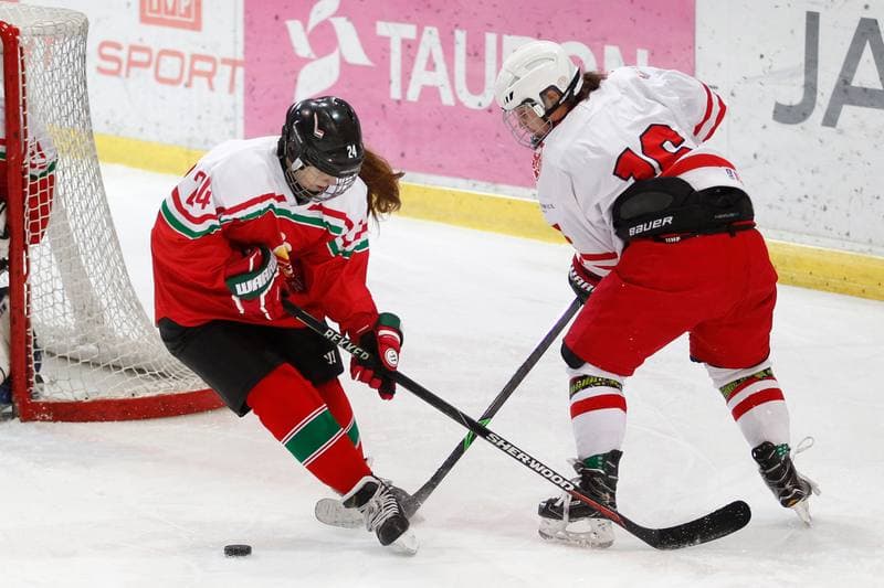 Ice Hockey. TCN. Poland - Hungary. 18.02.2018