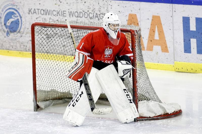 Ice Hockey. Women's U18 Friendly Match. Poland - China. 04.01.2017