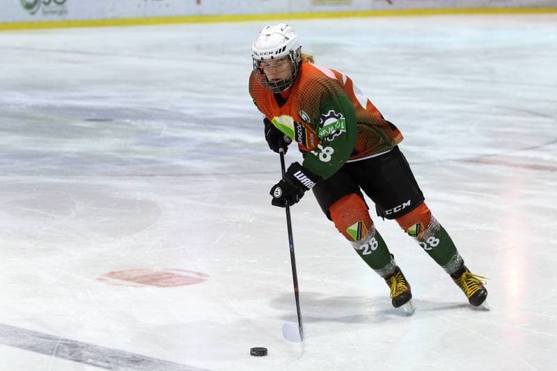 Ice Hockey. PLHK. Polonia Bytom - Naprzod Janow. 03.03.2018