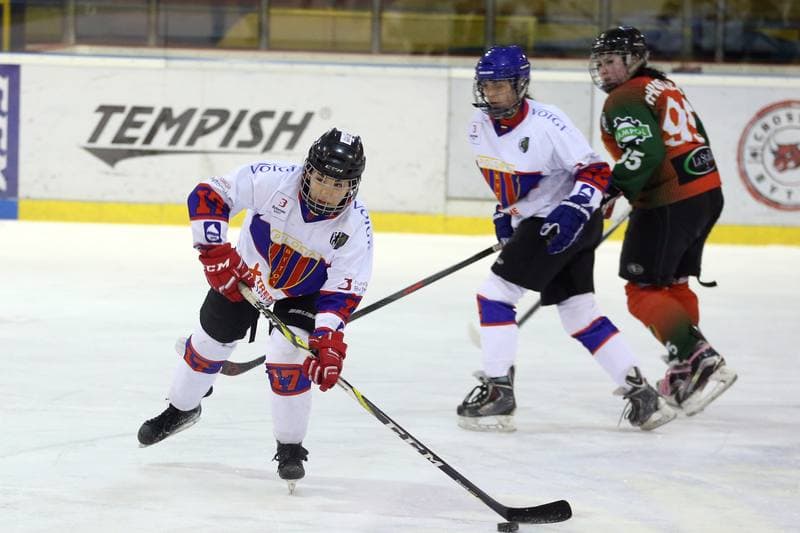Ice Hockey. PLHK. Polonia Bytom - Naprzod Janow. 03.03.2018
