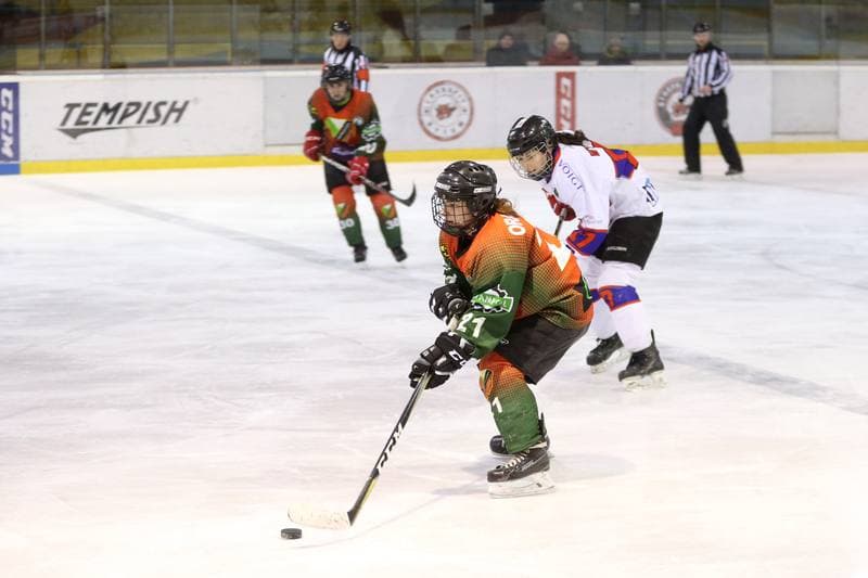 Ice Hockey. PLHK. Polonia Bytom - Naprzod Janow. 03.03.2018