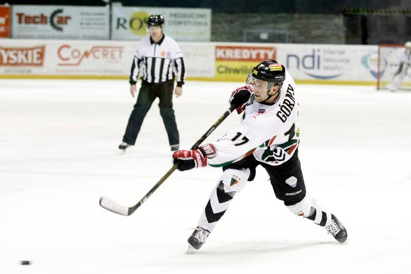 Ice Hockey. Polska Hokej Liga. GKS Tychy - Tempish Polonia Bytom. 22.01.2017