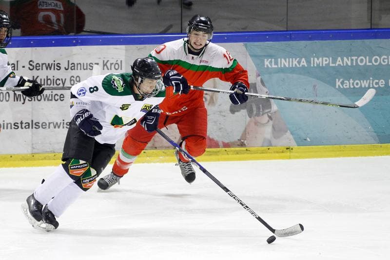 Ice Hockey. I Liga. Naprzod Janow - Zaglebie Sosnowiec. 22.01.2017