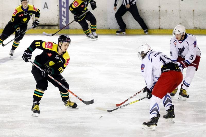 Ice Hockey. Polska Hokej Liga. SMS PZHL Sosnowiec - Tauron KH GKS Katowice. 31.01.2017