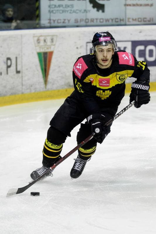Ice Hockey. Polska Hokej Liga. GKS Tychy - Tauron KH GKS Katowice. 21.03.2018