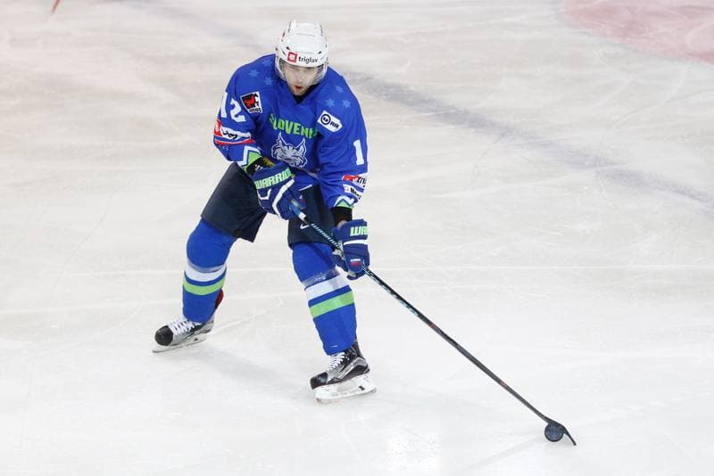 Ice Hockey. Euro Ice Hockey Challenge. Slovenia - Italy. 10.02.2017