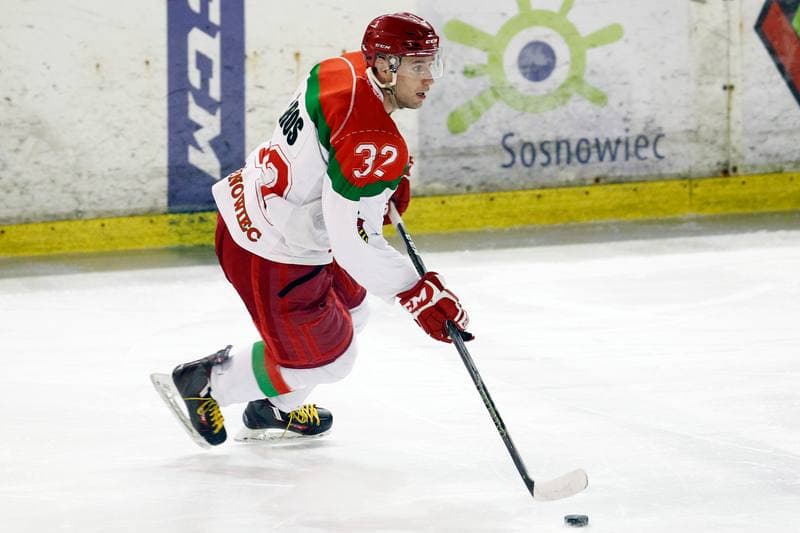 Ice Hockey. I Liga. Zaglebie Sosnowiec - UKH Debica. 18.02.2017