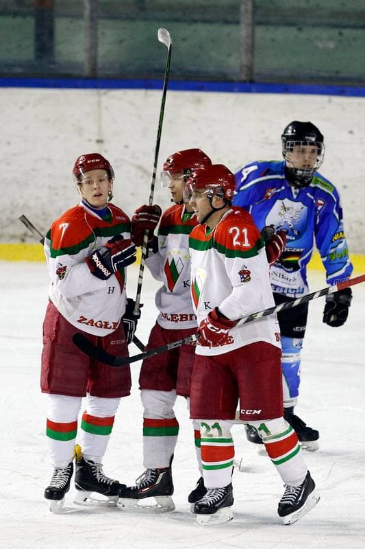 Ice Hockey. I Liga. Zaglebie Sosnowiec - UKH Debica. 18.02.2017