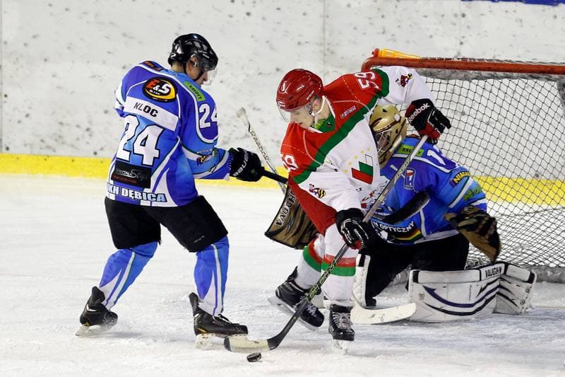 Ice Hockey. I Liga. Zaglebie Sosnowiec - UKH Debica. 18.02.2017