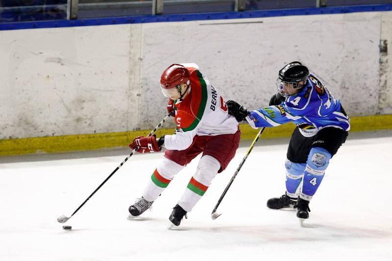 Ice Hockey. I Liga. Zaglebie Sosnowiec - UKH Debica. 18.02.2017