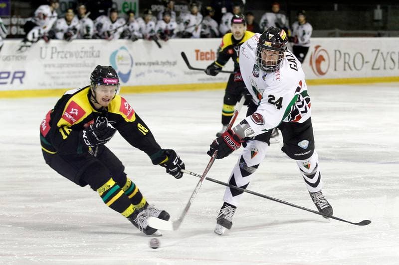 Ice Hockey. Polska Hokej Liga. GKS Tychy - Tauron GKS Katowice. 22.02.2017