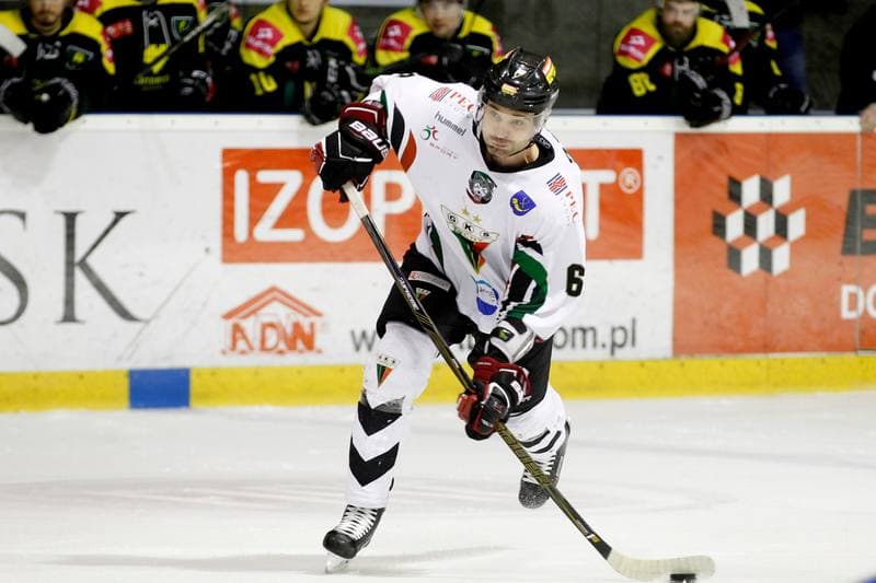 Ice Hockey. Polska Hokej Liga. GKS Tychy - Tauron GKS Katowice. 22.02.2017