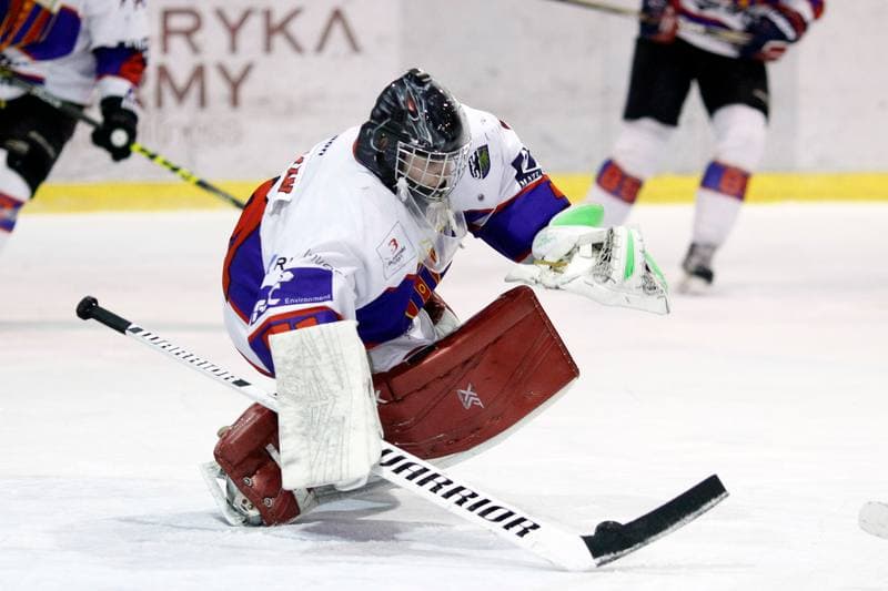 Ice Hockey. Polska Hokej Liga. Tempish Polonia Bytom - GKS Tychy. 11.03.2017
