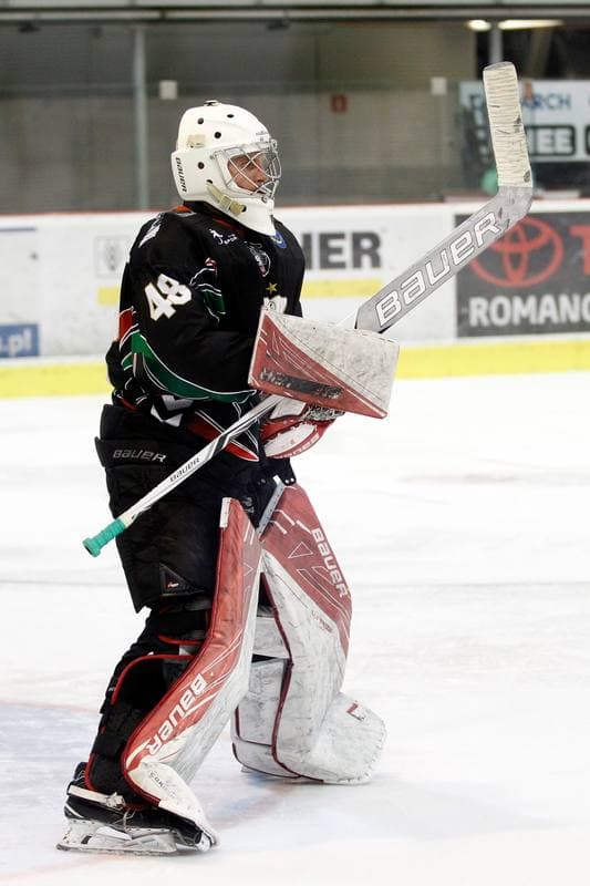 Ice Hockey. Tauron Hokej Liga. Comarch Cracovia - GKS Tychy. 31.03.2017