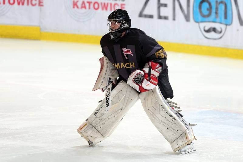 Ice Hockey. Polska Hokej Liga. SMS PZHL Katowice - Comarch Cracovia Krakow. 15.10.2017