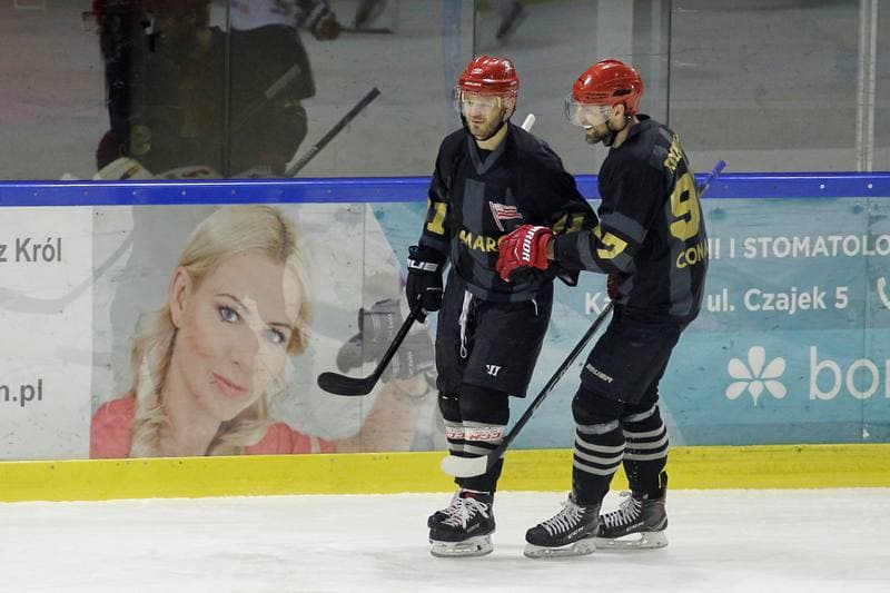 Ice Hockey. Polska Hokej Liga. Anteo Naprzod Janow - Comarch Cracovia Krakow. 19.01.2018