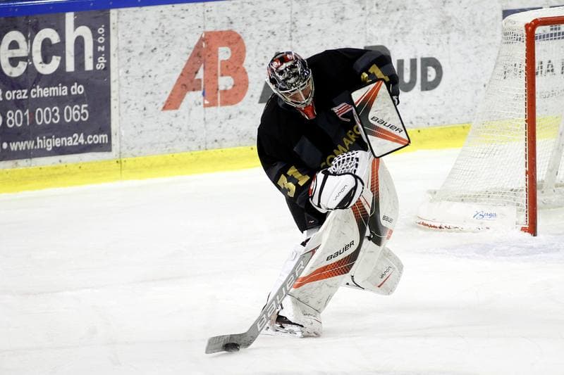 Ice Hockey. Polska Hokej Liga. Anteo Naprzod Janow - Comarch Cracovia Krakow. 19.01.2018
