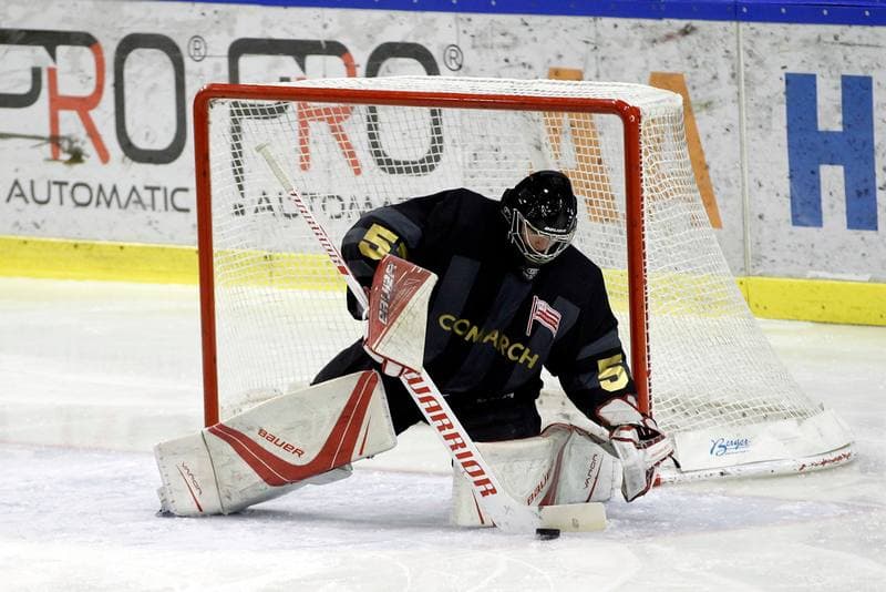 Ice Hockey. Polska Hokej Liga. Anteo Naprzod Janow - Comarch Cracovia Krakow. 19.01.2018