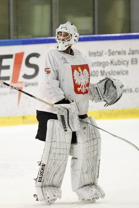 Ice Hockey. Poland national team. Training. 13.02.2018