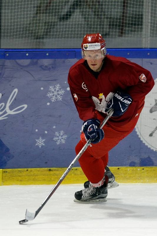 Ice Hockey. Poland national team. Training. 13.02.2018