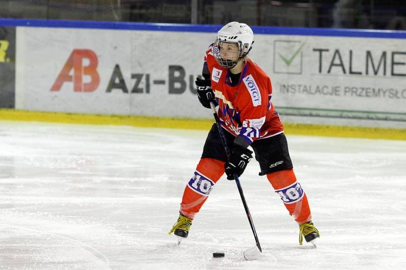 Ice Hockey. PLHK. Naprzod Janow - Polonia Bytom. 24.02.2018