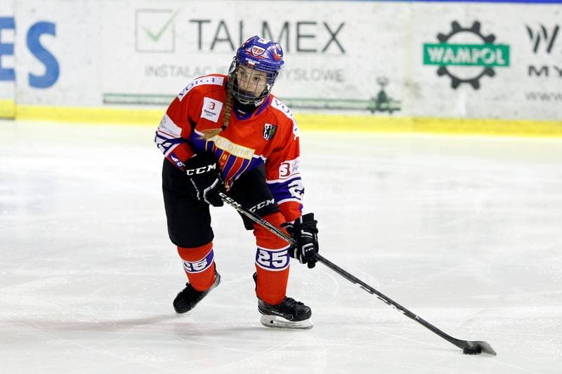 Ice Hockey. PLHK. Naprzod Janow - Polonia Bytom. 24.02.2018