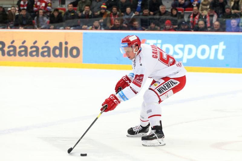Ice Hockey. Tipsport Extraliga. Ocelari Trinec - HC Verva Litvinov. 06.01.2019
