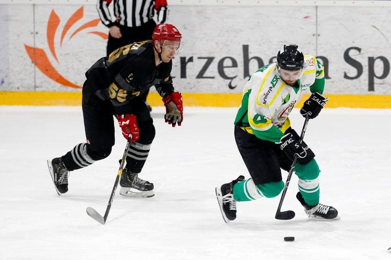 Ice Hockey. Polska Hokej Liga. JKH GKS Jastrzebie - Comarch Cracovia. 10.01.2019